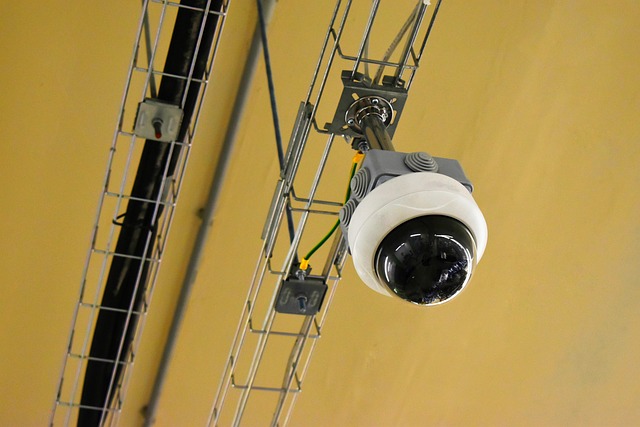 Jak własnoręcznie zbudowałem miniaturowy system do monitorowania dźwięków natury w czasie rzeczywistym - 1 2025